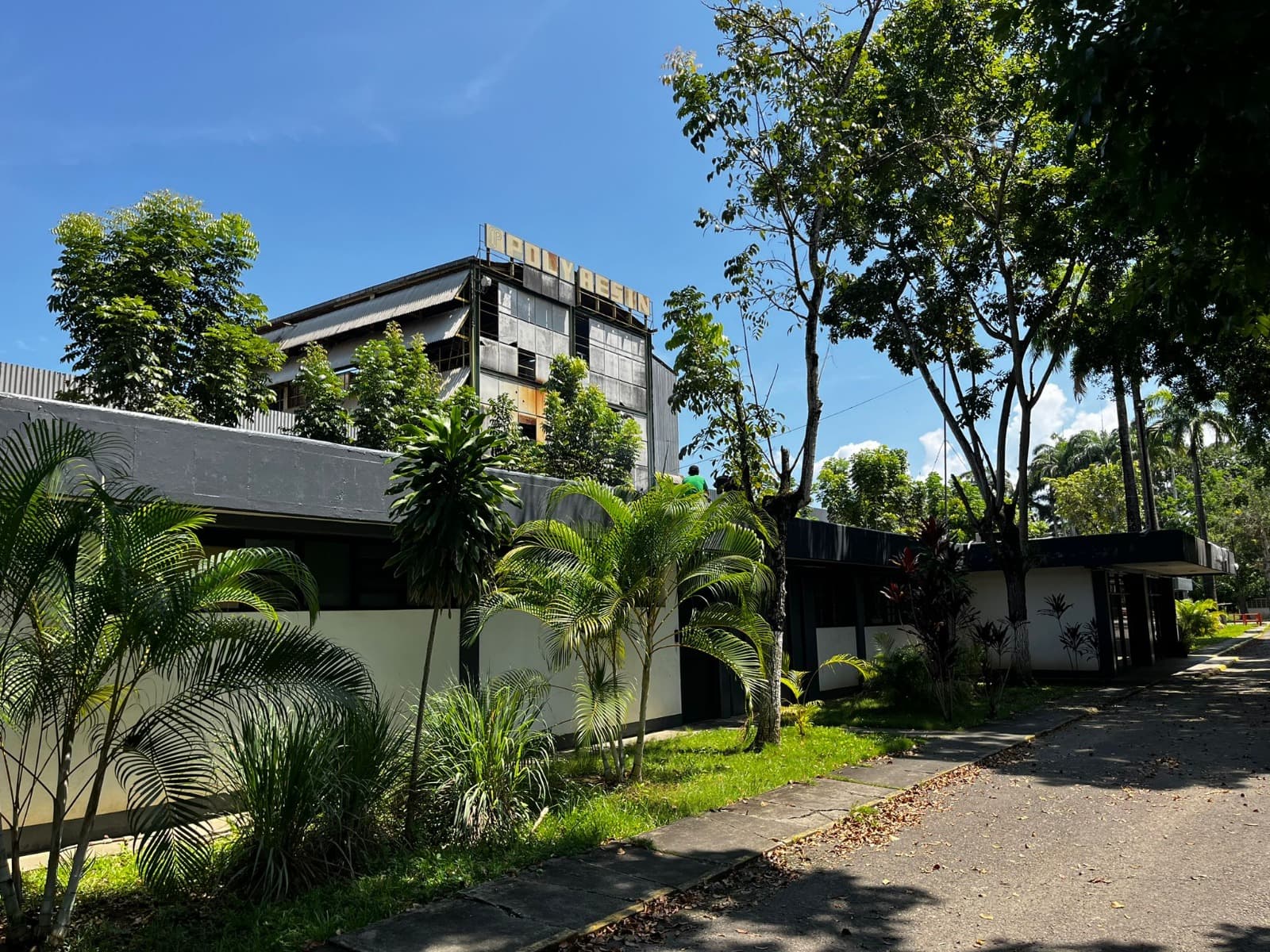 Entrada Químicas Polyresin